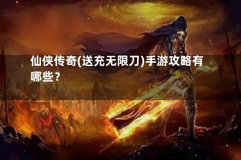 仙侠传奇(送充无限刀)手游攻略有哪些？