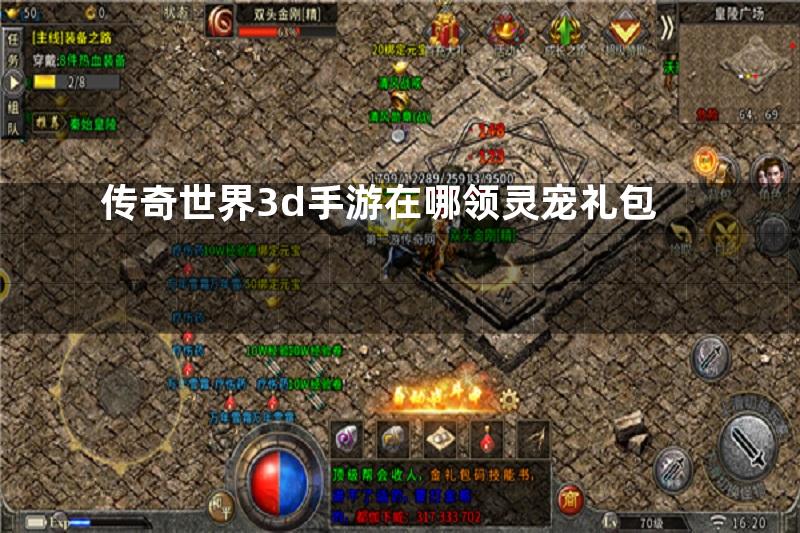 传奇世界3d手游在哪领灵宠礼包