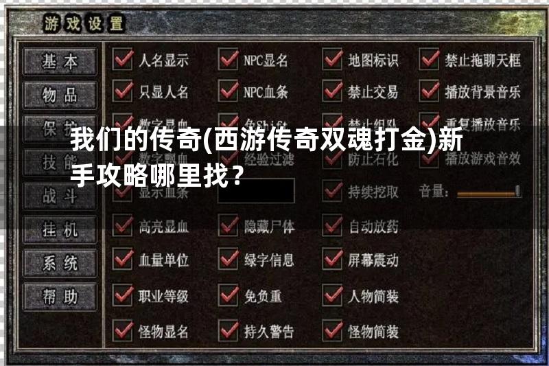 我们的传奇(西游传奇双魂打金)新手攻略哪里找？