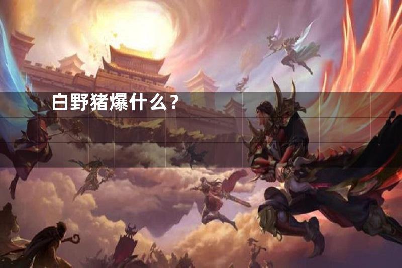 白野猪爆什么？