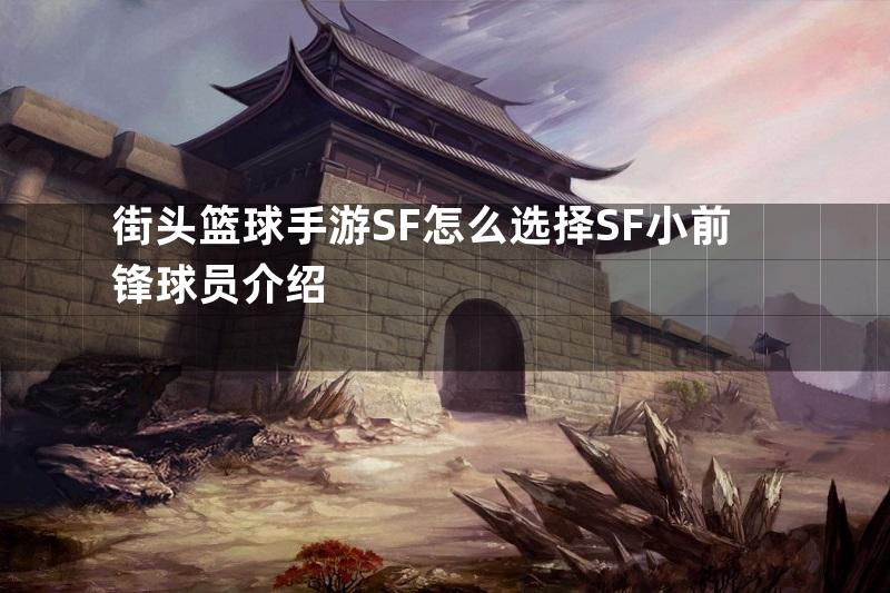 街头篮球手游SF怎么选择SF小前锋球员介绍